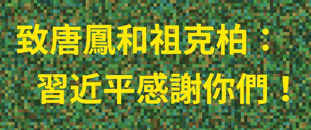 a green pixelated background with yellow chinese writing