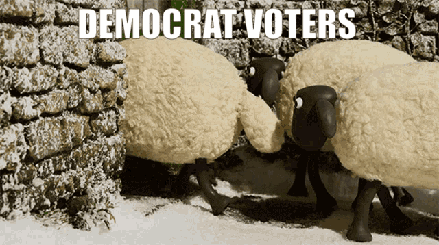 a group of sheep standing in front of a stone wall with the words " democrat voters " on the bottom