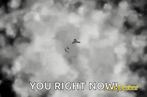 a black and white image with the words you right now on it