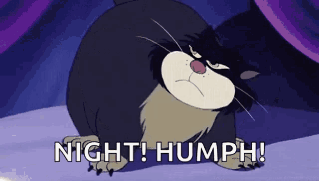 a cartoon cat is laying on a bed with the words `` night ! humph ! '' written below it .