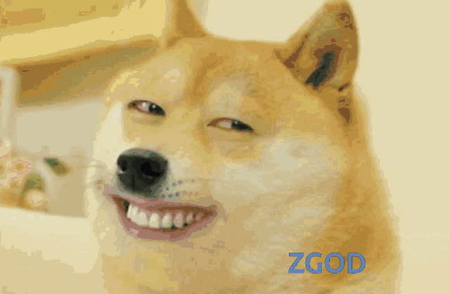 a dog with green paint on its face and the word zgod on the bottom right