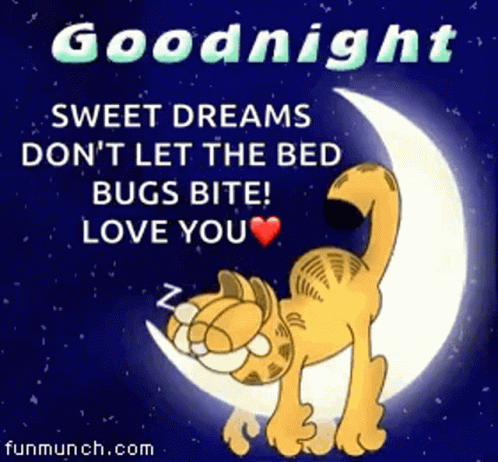 Good Night GIF - Good Night Garfield GIFs