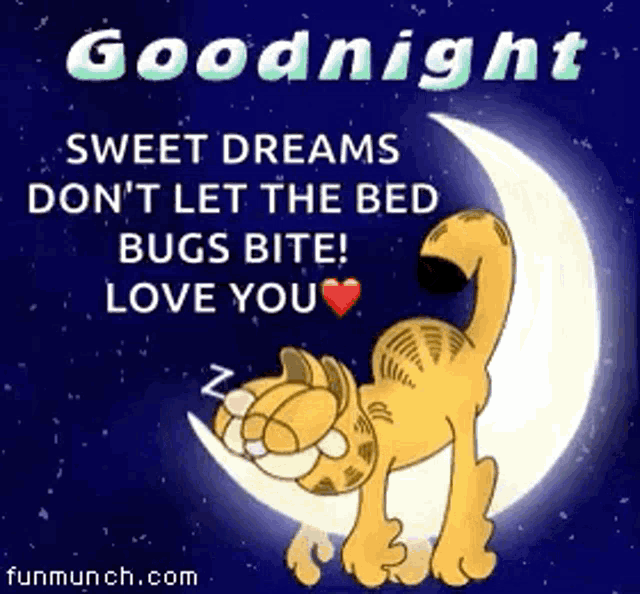 garfield is sleeping on the moon with a goodnight message