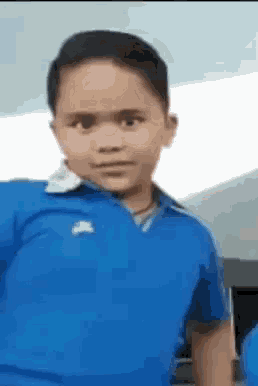 a young boy wearing a blue polo shirt is looking at the camera .