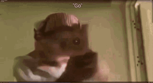 a screenshot of a video that says " go " on it