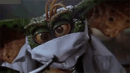 a gremlin from the movie gremlins wearing a surgical mask .