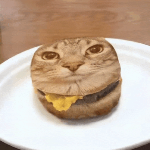 a hamburger with a cat face on it is on a white plate