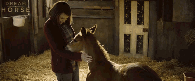 a woman petting a brown horse in a stable with a dream horse sign above her