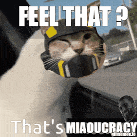 a cat wearing a helmet with the words feel that ? that 's miaoucracy on it