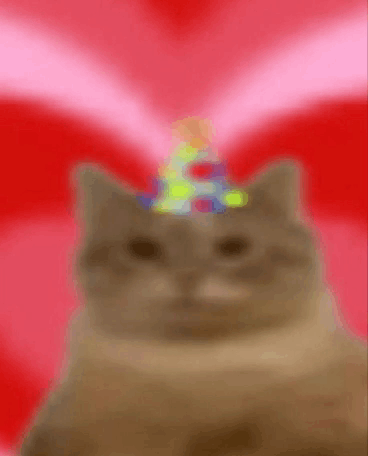 Cat Birthday GIF - Cat Birthday Birthday Hat GIFs