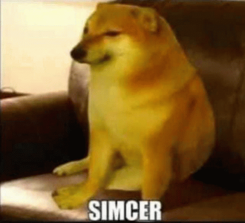 Simcer GIF - Simcer GIFs