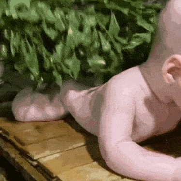 a naked baby is laying on a wooden bench