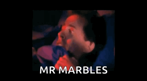 Mr Mrmarbles GIF - Mr Mrmarbles Marbles GIFs