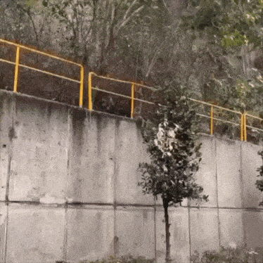 a concrete wall has a yellow railing on it