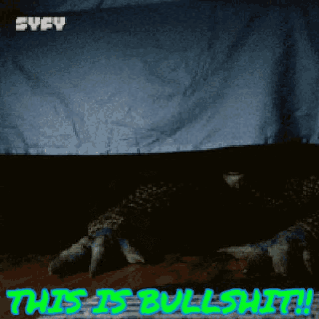 a poster that says " this is bullshit " in blue