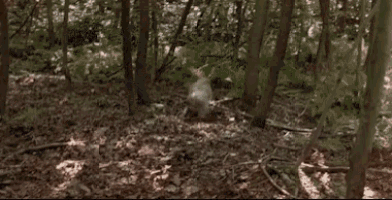 a blurred image of a person laying in the grass