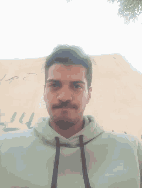 a man with a mustache is wearing a green sweatshirt