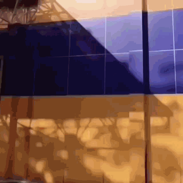 a shadow of a tree is cast on a wall with blue and yellow tiles