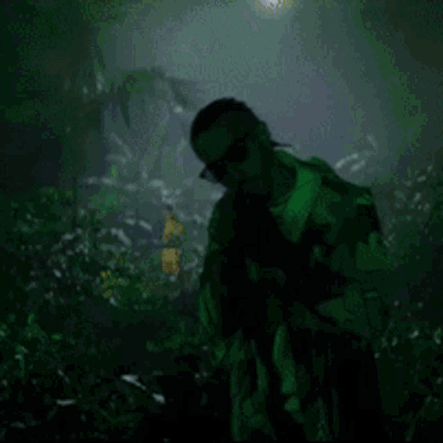 a man in a green jacket and sunglasses is standing in a dark forest .