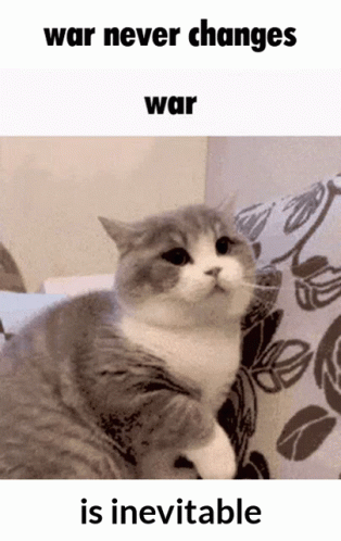 War Cat Dimden GIF - War Cat Dimden GIFs