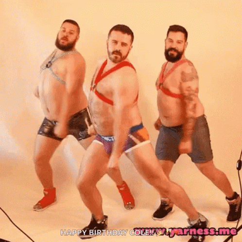 Gay Bear GIF - Gay Bear Dance GIFs