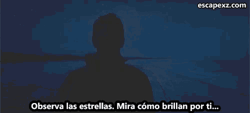 a silhouette of a person with the words " observa las estrellas mira como brillan por ti " below them
