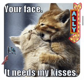 a picture of two kittens kissing with a caption that says your face it needs my kisses