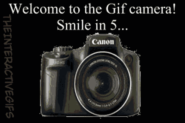 Gorilla Gif Camera GIF - Gorilla Gif Camera Photo Developing GIFs