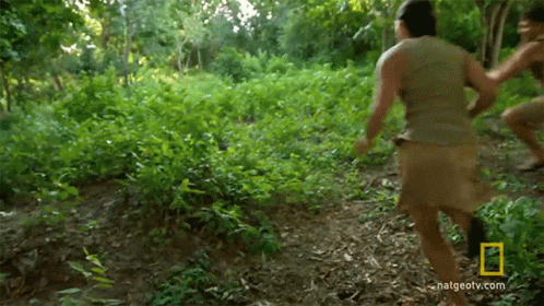 Hunting Cat GIF - Hunting Cat The Great Human Race GIFs