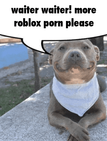 Waiter Pitbull Meme