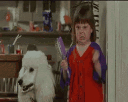 a little girl in a red dress is standing next to a white poodle and holding a brush