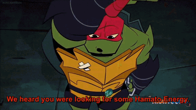 Rise Of The Tmnt Rottmnt GIF
