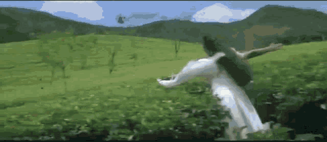 a woman in a white dress is running in a field with her arms outstretched .