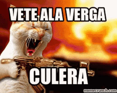 a cat is holding a gun with the words vete ala verga culera written on it