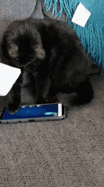 a black cat is laying on a couch next to a cellphone
