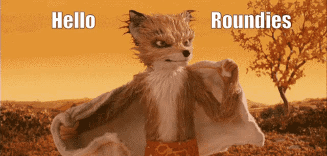 a cartoon fox is standing in a field with the words hello roundies above him