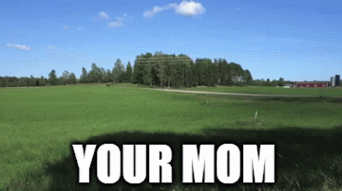 Mother Your Mom GIF