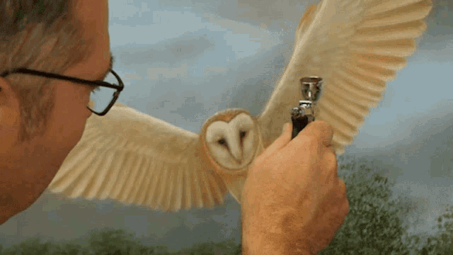 Barn Owl Painting Robert E Fuller GIF - Barn Owl Painting Barn Owl Robert E Fuller GIFs
