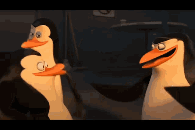 Pinguins Do Madagascar Pinguim GIF - Pinguins Do Madagascar Pinguim Penguin Kissing GIFs