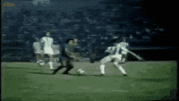 a group of people are playing soccer on a field .