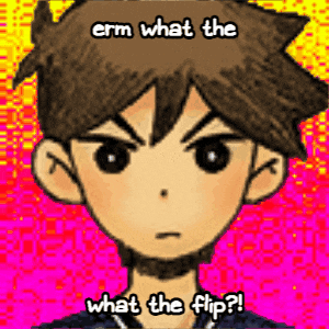 a cartoon of a boy with the words " erm what the what the flip ? "