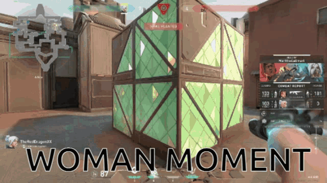 a screenshot of a video game with the words woman moment above it