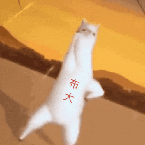 a white cat with chinese characters on its back