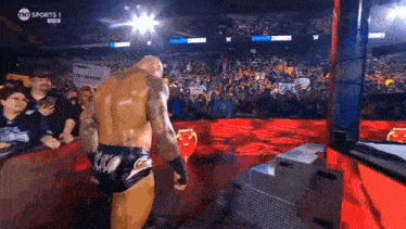 a wrestling match is being broadcast on tnt sports 1 live