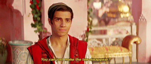 Aladdin You Can Just Make The Law Disappear GIF - Aladdin You Can Just Make The Law Disappear The Law GIFs