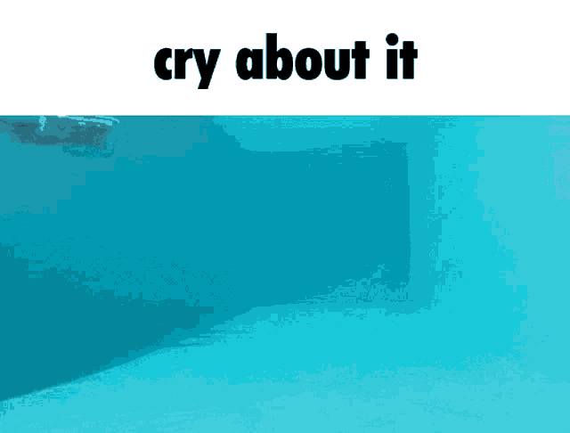 Cry About It Meme GIF - Cry About It Meme Lego GIFs