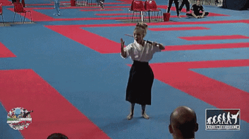 a sign that says evolution of martial arts is on a blue mat