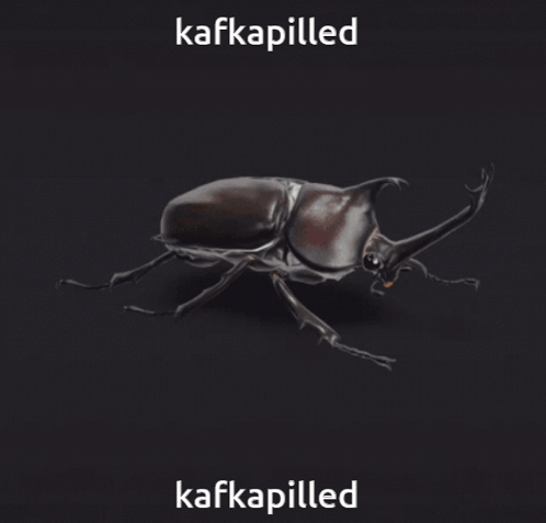 Kafka Pilled Kafkapilled GIF