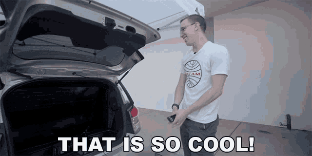 a man with a shirt that says " that is so cool " stands in front of a car