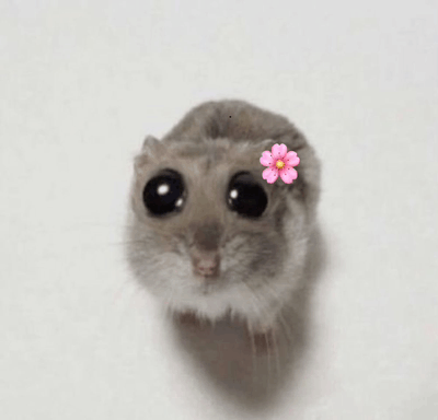 Flower Flower Mouse GIF - Flower Flower Mouse Cute Mouse GIFs